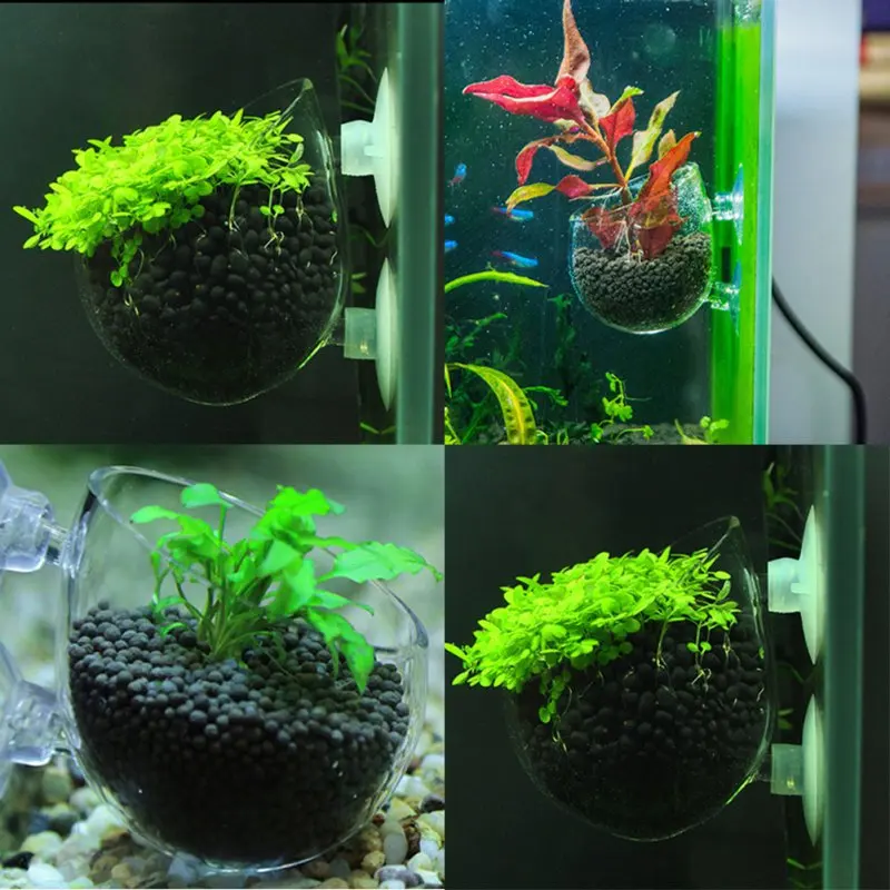 Hot Sell Fish Tank Mini Crystal Glass Pot New Aquaculture Cup Decoration Polka Water Potted Aquatic Planting Cylinder Cup