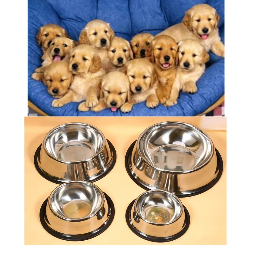 best quality puppy food buy wholesale best quality food from china best quality food best quality puppy food buy wholesale best quality food from china best quality food