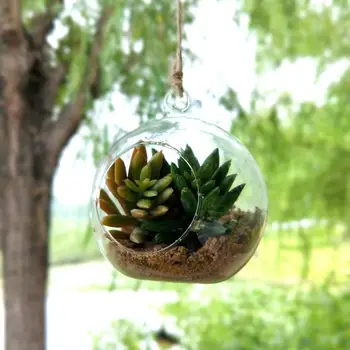 

10CM Hanging Glass Vase Succulent Air Plant Display Terrarium,Decorative Clear Glass Globe Hanging Air Plant Terrarium 100pcs