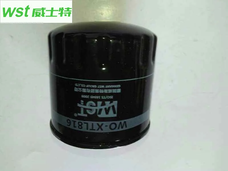 

96002933 Oil filter For 08 Fu Kang 1.4 For Peugeot 504 505 For BYD S6