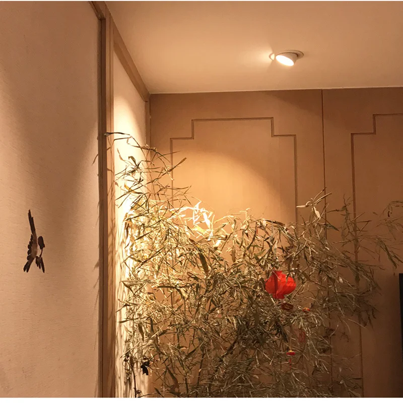 Recessed LED Downlight Trunk