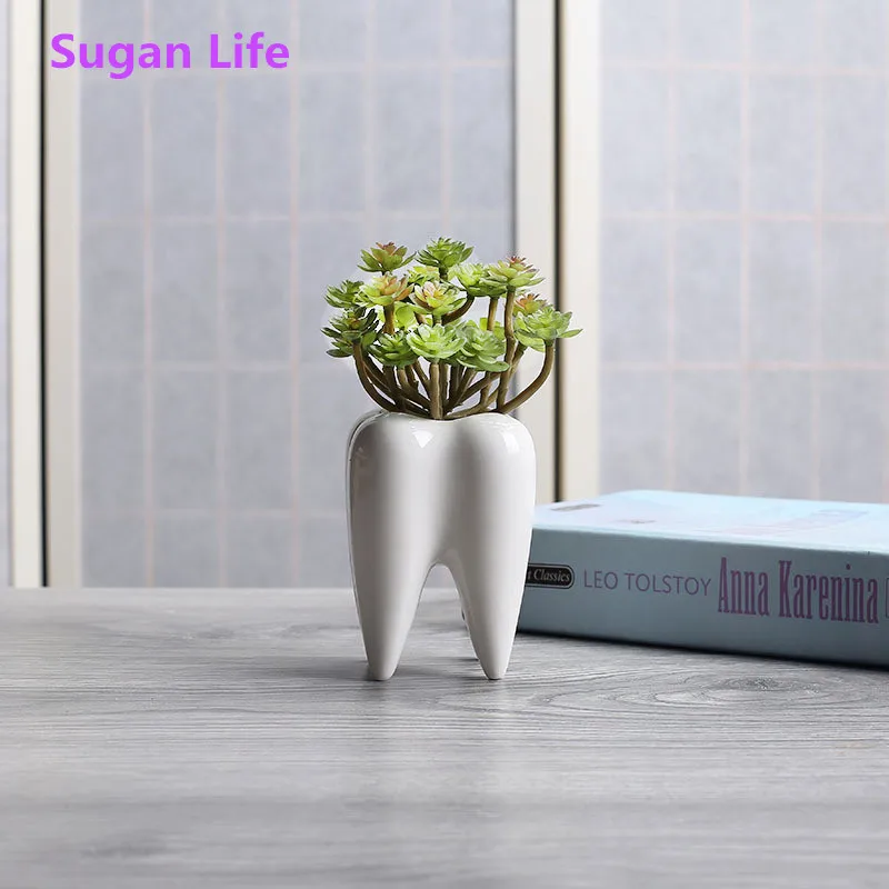 

Suganlife NEW Home Decor Pot Dental Succulent Planter Flowerpot Decor Pen Holder for Home Office Desk (2pcs Funny Tooth Pots)