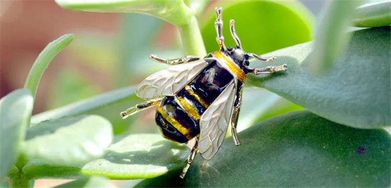 QPXT2[U]PP15%YF{DD@RV0N