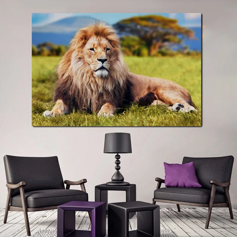 Africa Depredador Rey Animal Hierba Campo Habitacion Casa Arte De