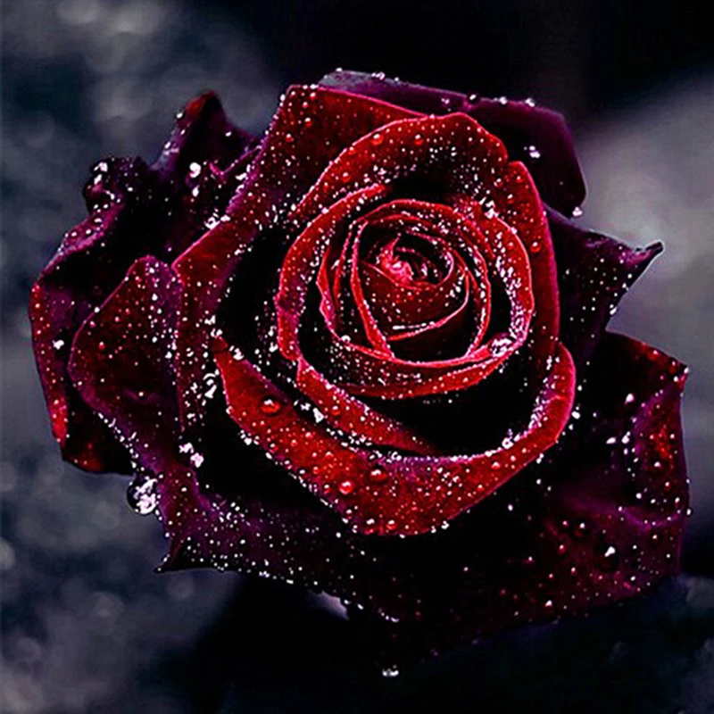 

3D Round diamond embroidered Rhinestone moasic floal red rose flower diamond diamond painting cross stitch kits needlework