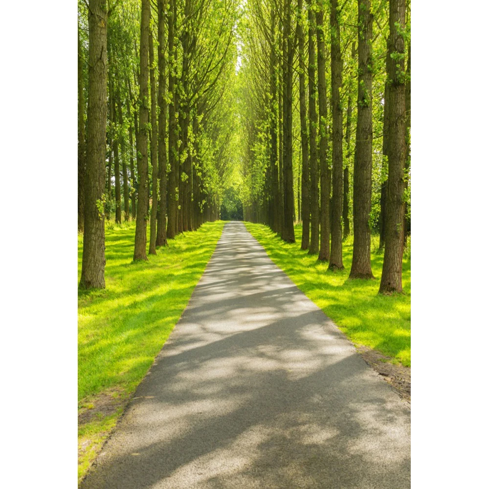 

Laeacco Spring Green Trees Road Scene Photography Backgrounds Customized Digital Photographic Backdrops For Photo Studio