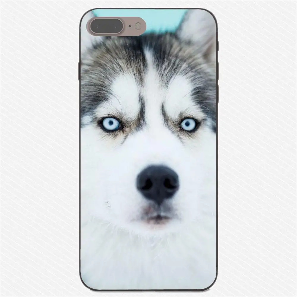 Милый Забавный милый собачий Хаски для Apple iPhone X XS Max XR 4 4S 5 5S SE 6 6S 7 8 Plus мягкий TPU
