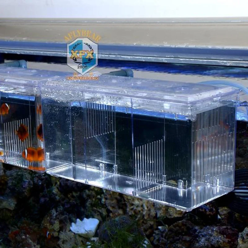 Повесить на Arcylic коробка для разведения Guppy Baby маленькая рыба больная