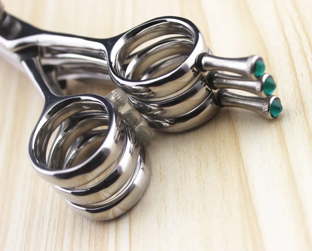HTB1WCsWHpXXXXc3XFXXq6xXFXXX0