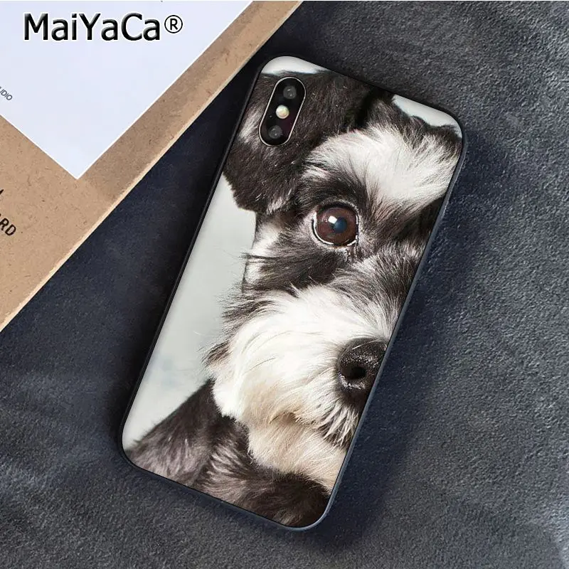Schnauzer Puppy dog Art