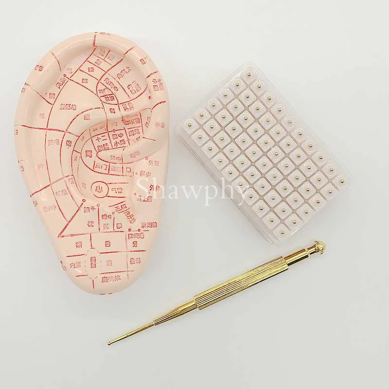 

600pcs/lot ear press seed Auricular Vaccaria seed with ear probe 13cm ear model acupuncture needle ear bead slimming bod