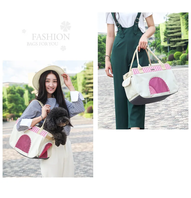 Cat Carrier (11)