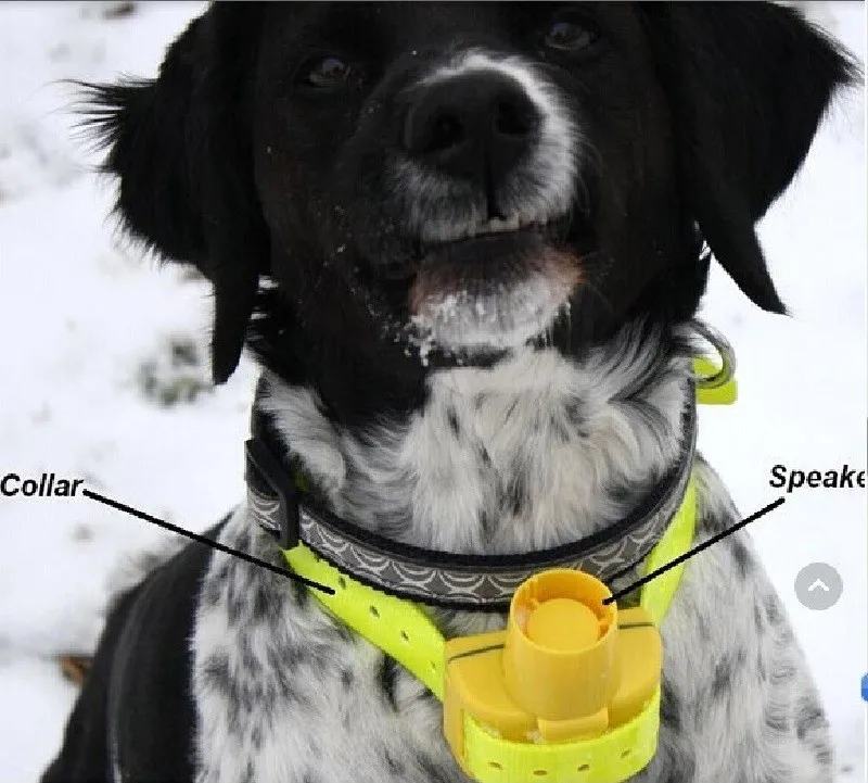 Ошейник для охотничьей собаки желтого цвета, ошейник для дрессировки собак, водонепроницаемый ошейник для маленьких, средних и больших собак