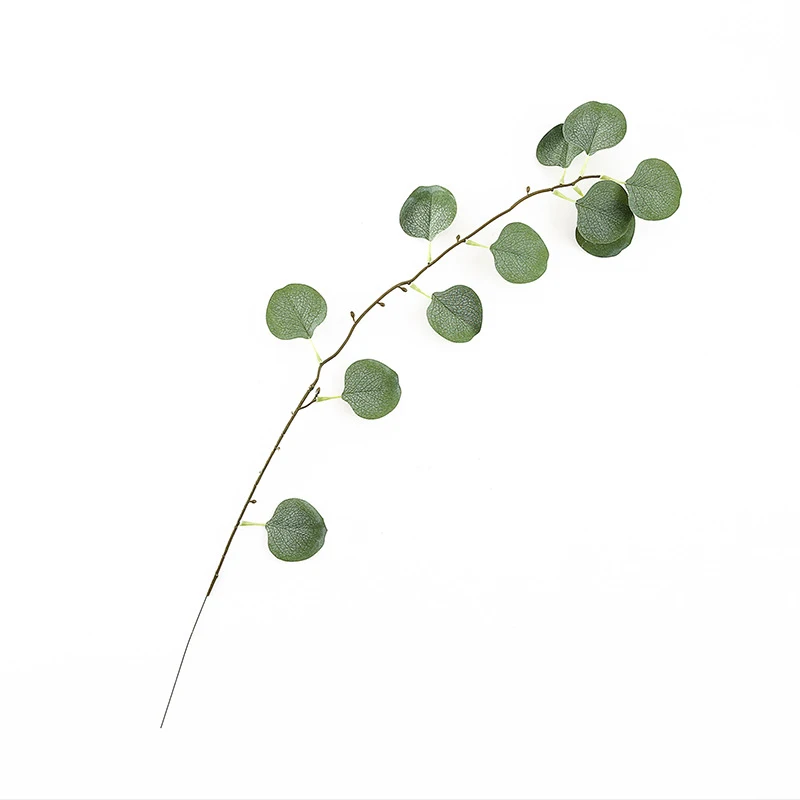 主图1