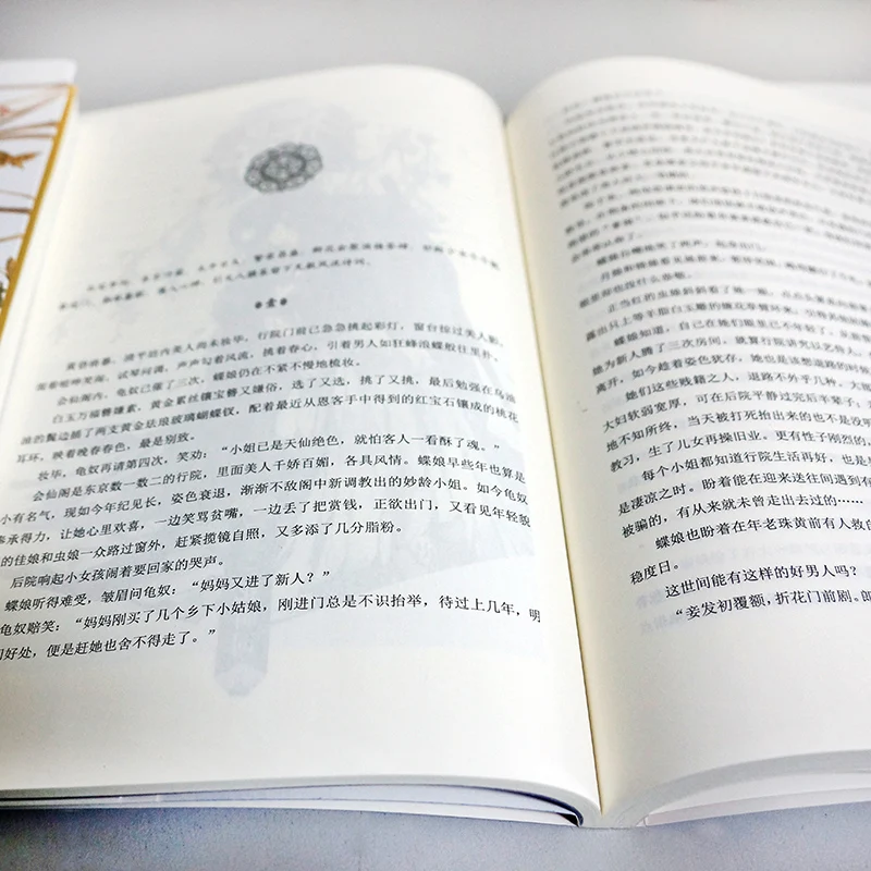 2019 Новый свободный ход Роман книга Sa Ye объем 2 Ву Чжэ работает взрослых любовь
