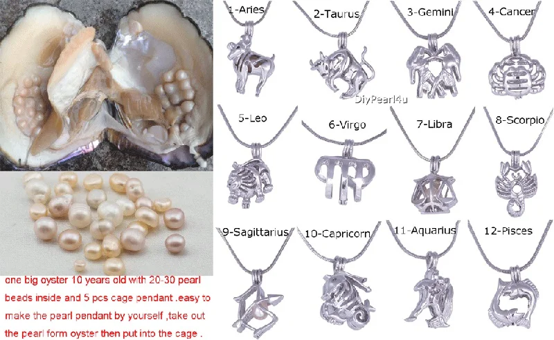 New Live Pearl Party Oyster 9pcs Pearl Cage Necklace Pendant+1pc Huge Pearl Oyster Monster DIY Love Wish Pearl Gift FP208 New Live Pearl Party Oyster 9pcs Pearl Cage Necklace Pendant+1pc Huge Pearl Oyster Monster DIY Love Wish Pearl Gift FP208