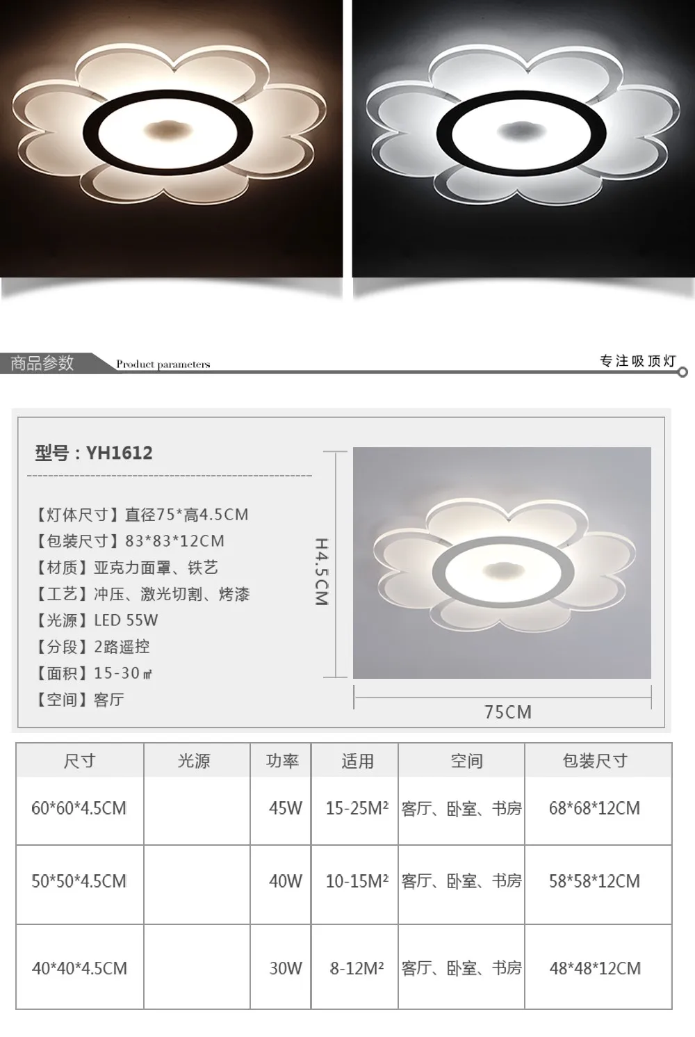 aeProduct.getSubject()