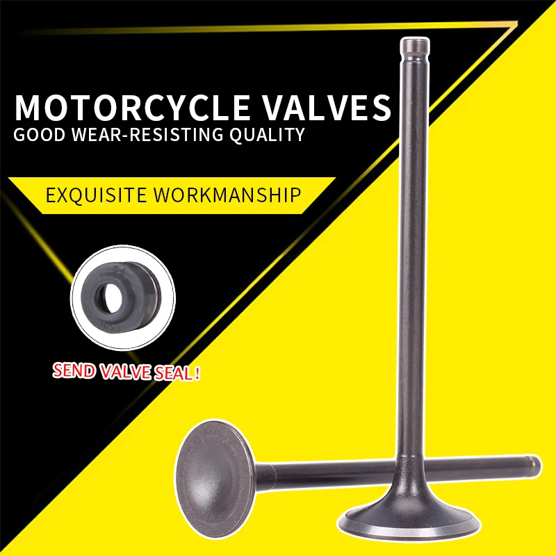 

3PCS/sets Intake Exhaust Valves with Oil Seal For HONDA Steed400 Steed600 Steed Big Ant VTR VTR250 Motorcycle Accessories