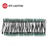 WS2811 DC 5V/12V 12mm WS2811 LED Module, Black/Green/White/RWB Wire, IP68 waterproof Pixels string Christmas light ► Photo 1/6