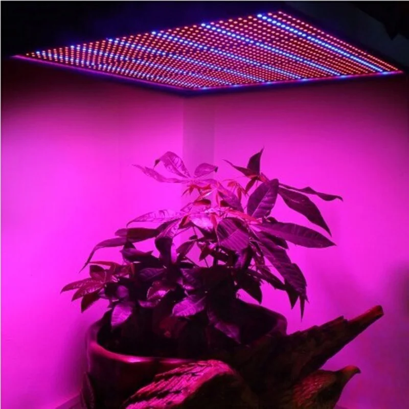 120 Вт красный+ синий 1365 светодиодный s AC85~ 265V Светодиодный Grow Light для цветущих растений и гидропоники Системы для выращивания дома, на балконе гроубокс