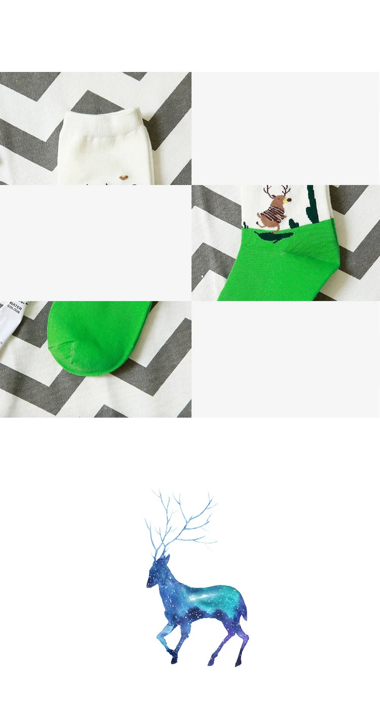 20180626_113315_026