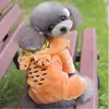 Pet Products