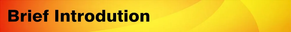 Brief Introdution