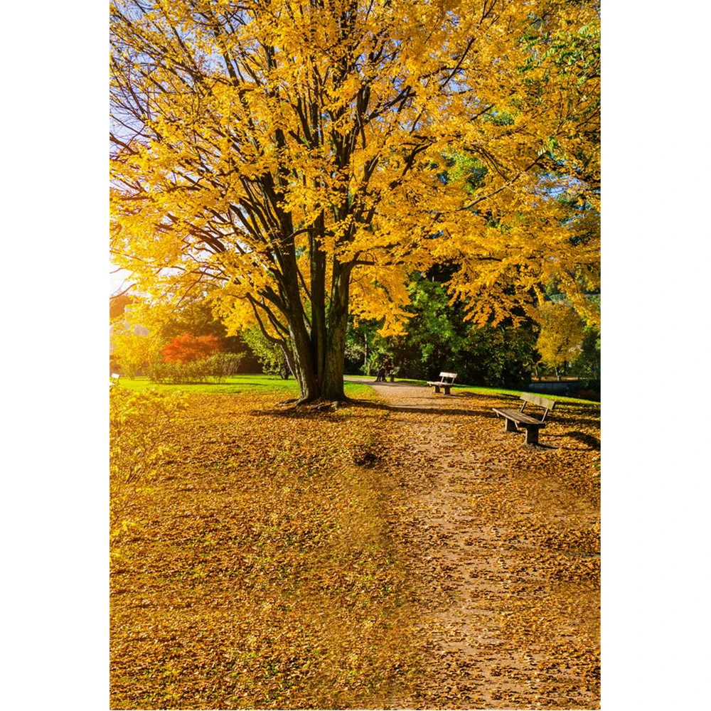 5x5FT Vinyl Backdrop Photographer,Forest,Birch Trees Autumn Artwork Background for Party Home Decor Outdoorsy Theme Shoot Props 5x5FT Vinyl Backdrop Photographer,Forest,Birch Trees Autumn Artwork Background for Party Home Decor Outdoorsy Theme Shoot Props