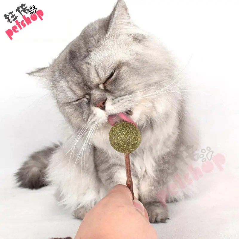 

Catnip Natural Cat Toy Pet Products Supplies for Kittens Lollipop Menthol Flavor Cat Mint Edible Treating Toys for Cats Catmint
