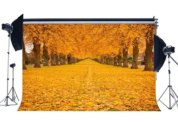 

Autumn Backdrop Golden Leaves Nature Outdoor Park Trees Romantic Wallpaper Harvest Photography Background