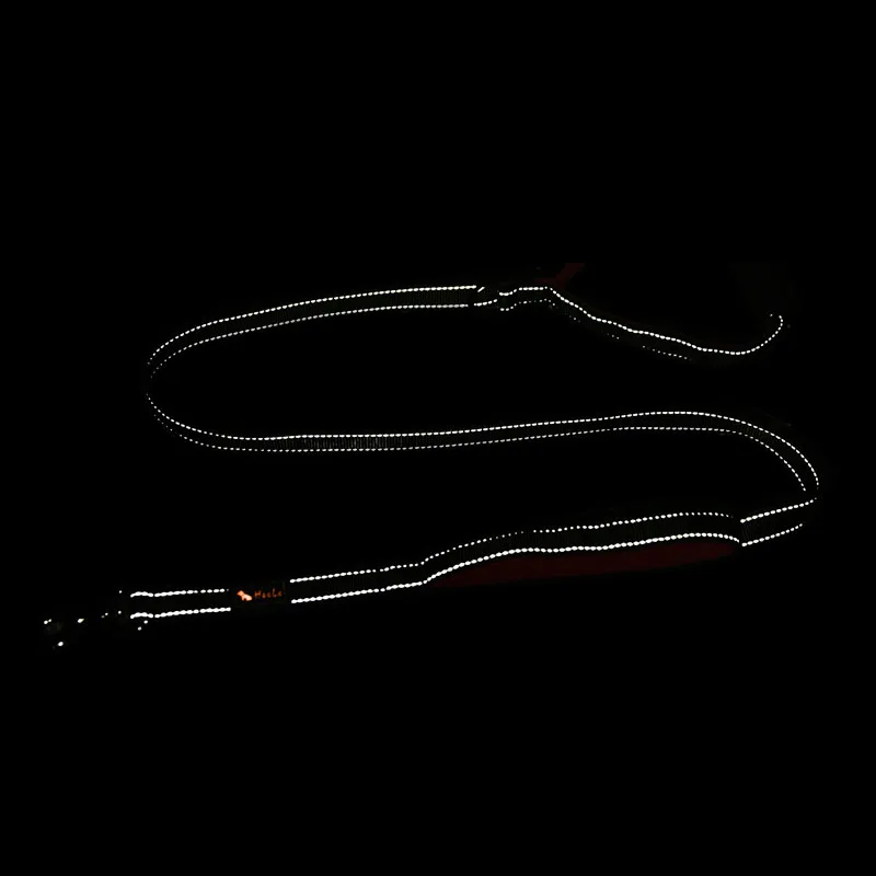 reflective dog leash