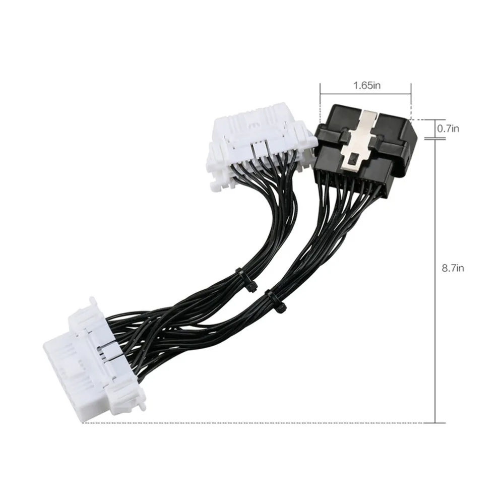 53c295b8-66a4-40de-9438-f83791a59254