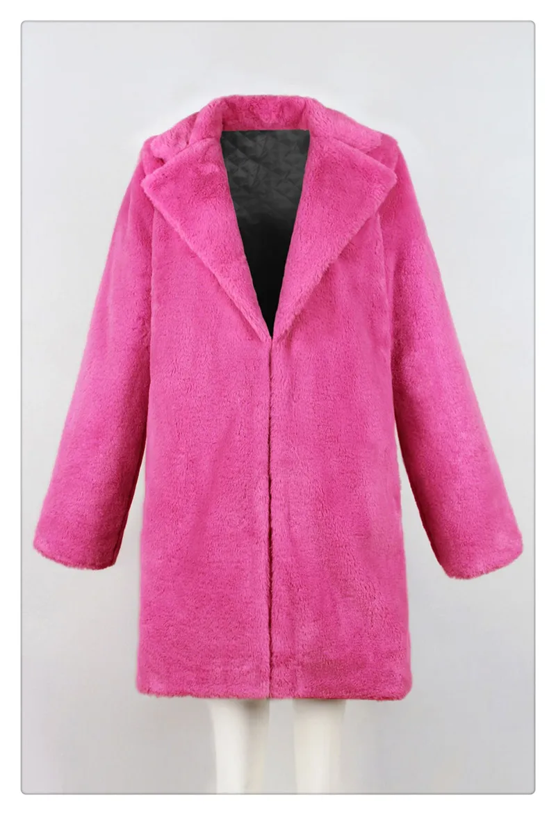 2018 fashion Europe and the United States popular plush coat jacket fur warm jacket female wild jacket autumn and winter new (10)
