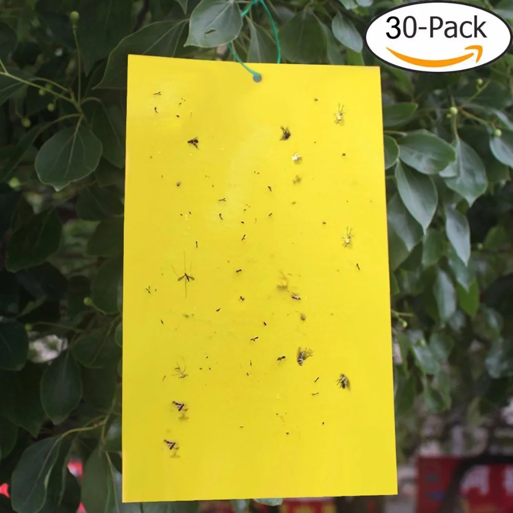 20PCS Dual Sided Yellow Sticky Traps for Flying Plant Insect Like