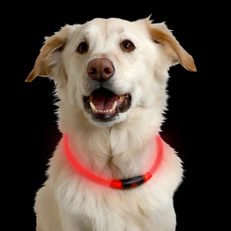Регулируемый ошейник для собак Светодиодный ночной мигающий светящийся ошейник для собак из оптического волокна светодиодный светильник s m l