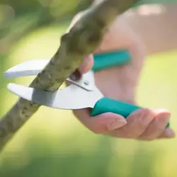 Кольцо лающий Инструмент Секатор садовое фруктовое дерево виноград кустарник Фруктовый нож резак ножницы Вишня