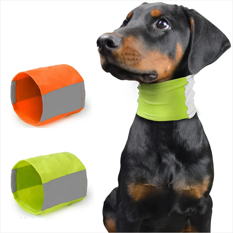 Dog scarf collar