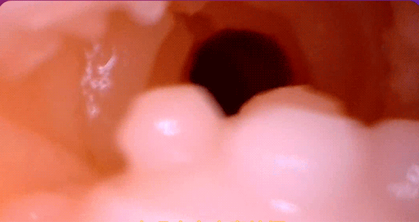 male-masturbator-(5)