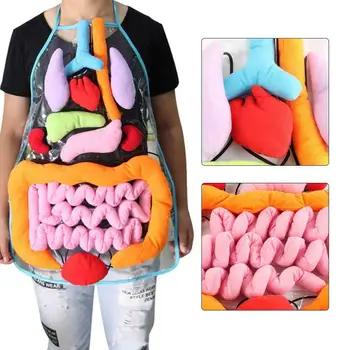 

Kids Anatomy Apron Human Body Organs Awareness Child Educational Insights Toy YJS Dropship