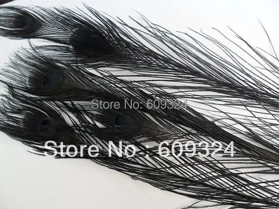 

FREE SHIPPING -Wholesale 100 pcs/lot 10-12inch black peacock feather for crafts or wedding decoraction