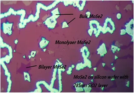 MoSe2-t1_