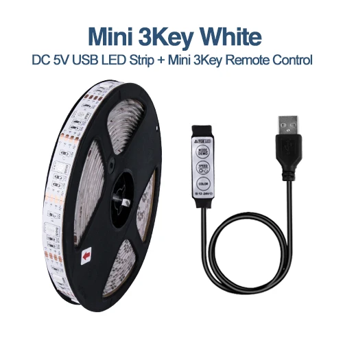 DC5V USB Светодиодная лента 5050 RGB 50 см 1 м 2 м 3 м гибкий светильник мини 3Key 17Key RF ИК пульт дистанционного управления ТВ фоновый светильник ing лента IP65 - Испускаемый цвет: Mini 3key White