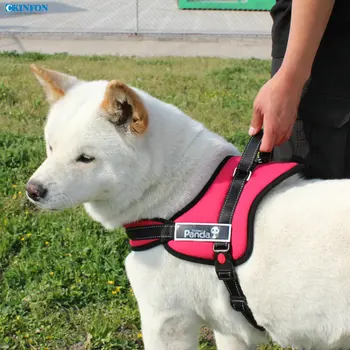 

50Pcs/Lot Dog Wearing Chest, Luxurious Pet Thoracodorsal Clothing, In Large Dogs Pet Leashes