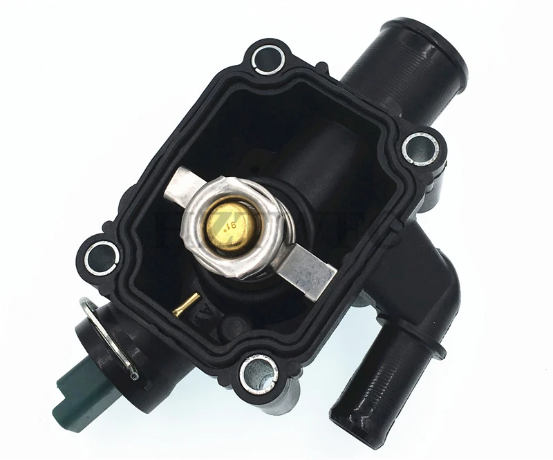 QQ20184846