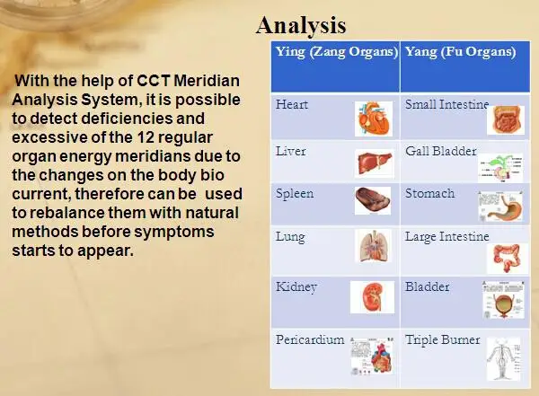 Новое поколение CCT Меридиан система анализа английский меридианная физиотерапия инструмент китайский Меридиан детектор подздоровья отчет