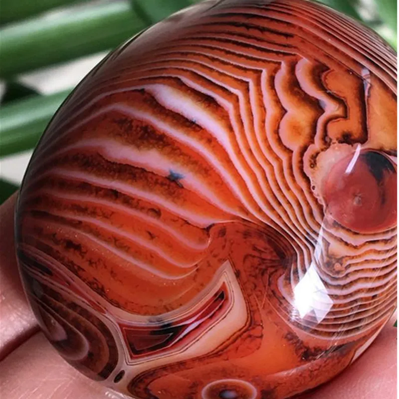 

Newrrival Natural Red Carnelian Geode Crystal Quartz Agate Polished Specimen
