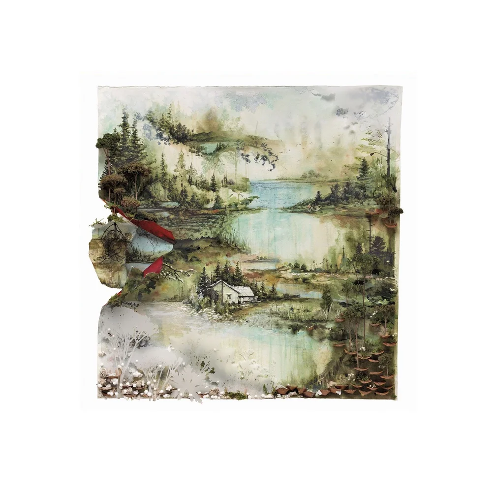 Художественный постер Bon Iver музыкальный альбом настенные картины для гостиной