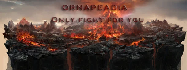 Only fight for you