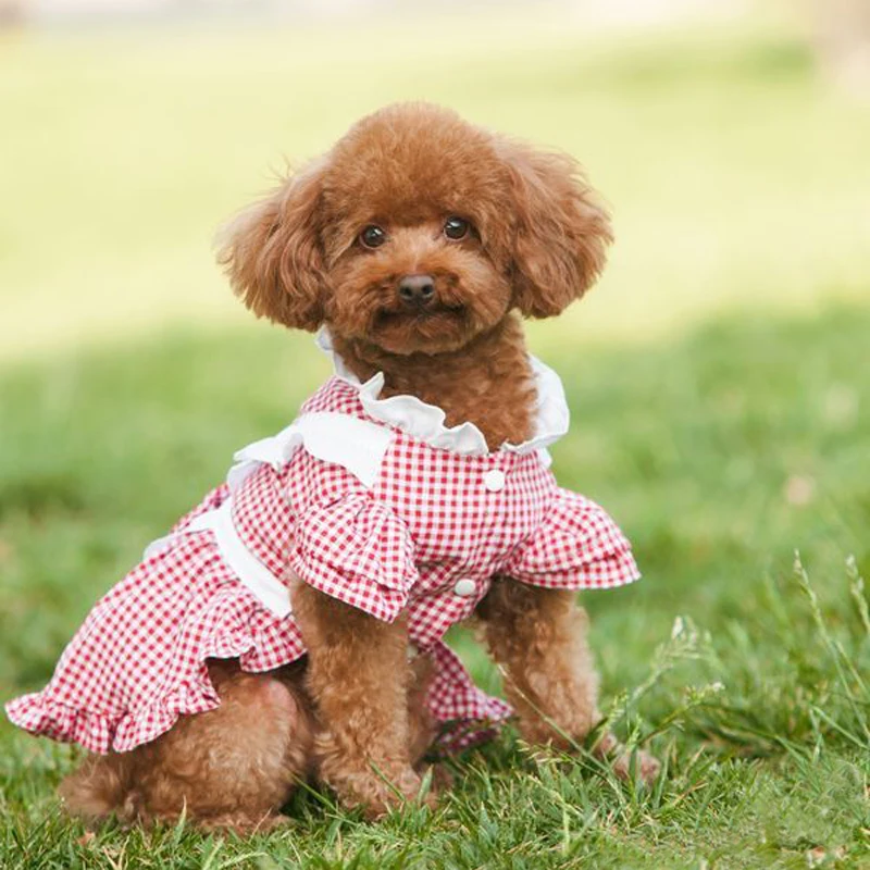 

OnnPnnQ Spring Summer Pet Dog Dress Puppy Stripe Fine Grid Clothes For Small Dogs Cute Bow Skirt Maid Style Chihuahua Yorkshire