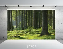 Fundos fotográficos de Casamento Crianças Da Árvore Da Floresta Verde Foto Backdrops Vinil Fundo Para Estúdio de Fotografia Fundo Fotografia